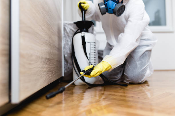 Reliable Harrisburg, AR Pest Control Solutions