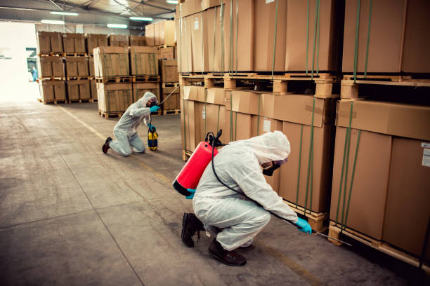 Best Termite Control Services  in Hrisburg, AR