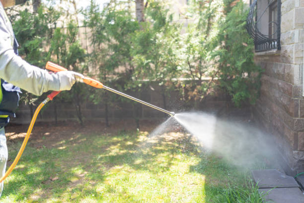 Best Affordable Pest Control Services  in Hrisburg, AR