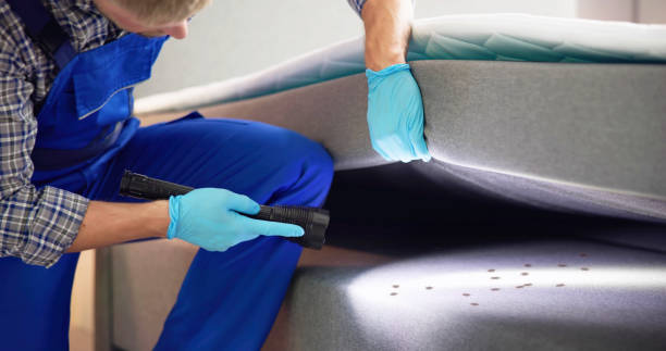 Best Bed Bug Extermination  in Hrisburg, AR