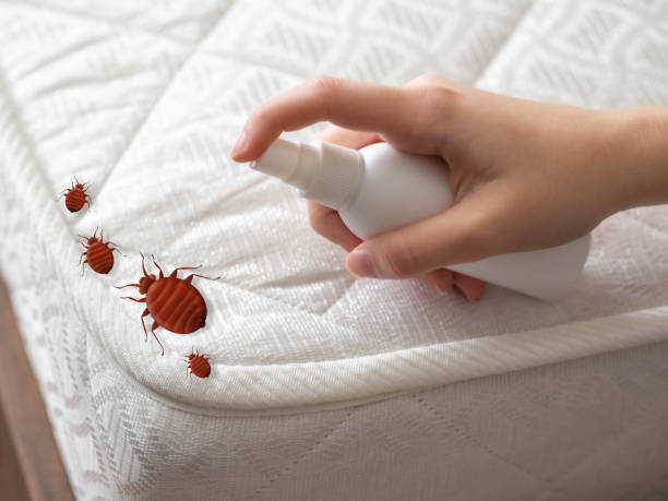 Best Exterminator Services  in Hrisburg, AR
