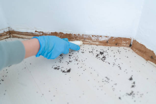 Best Pest Control for Businesses  in Hrisburg, AR