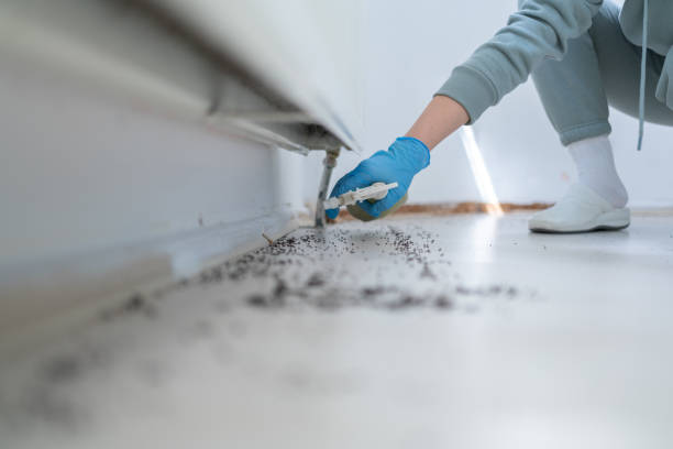Best Commercial Pest Control Services  in Hrisburg, AR